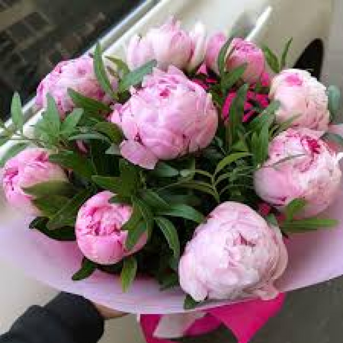 Пион древовидный в Кентау