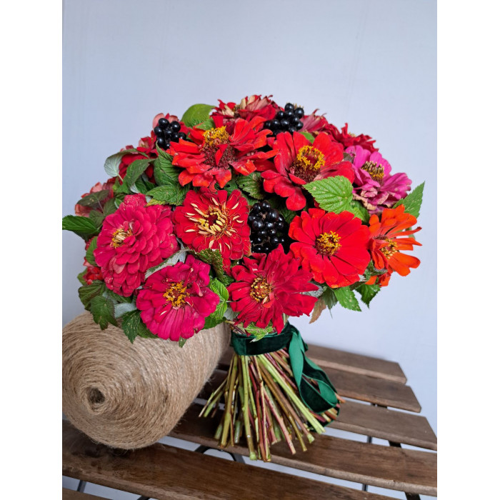 Циния в Кентау