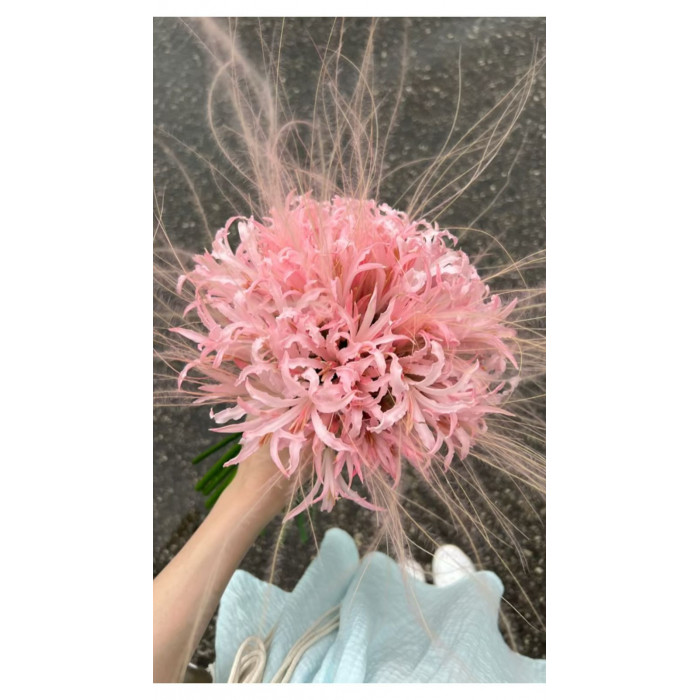 Нерине в Кентау