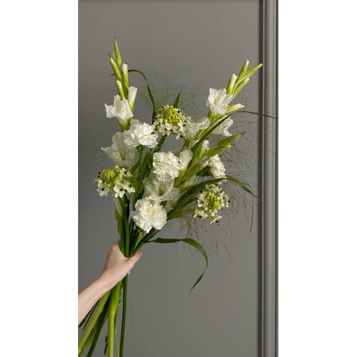 Орнитогалум в Кентау