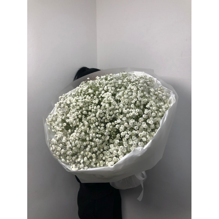 Гипсофила классическая в Кентау