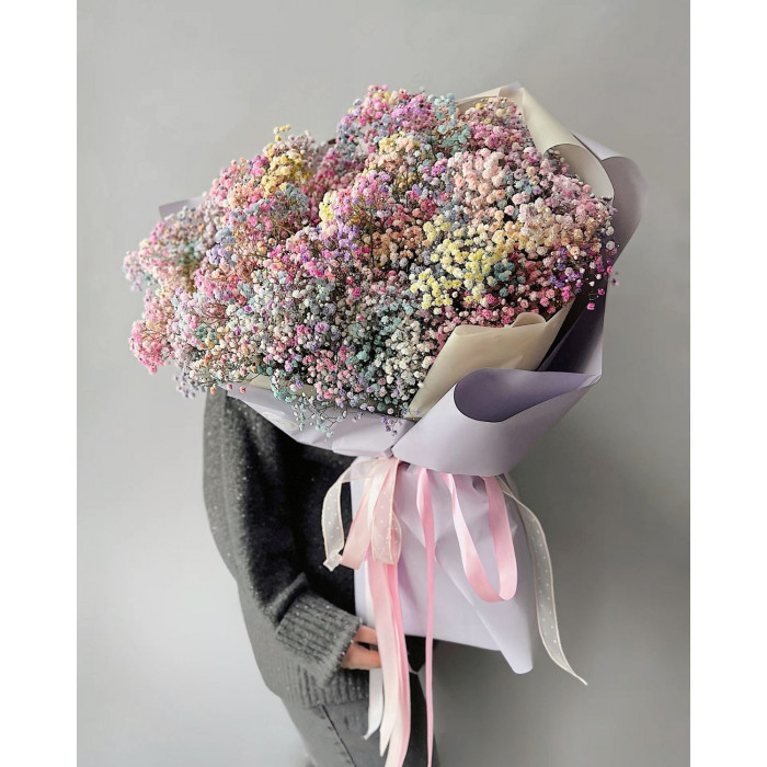 Гипсофила цветная в Кентау