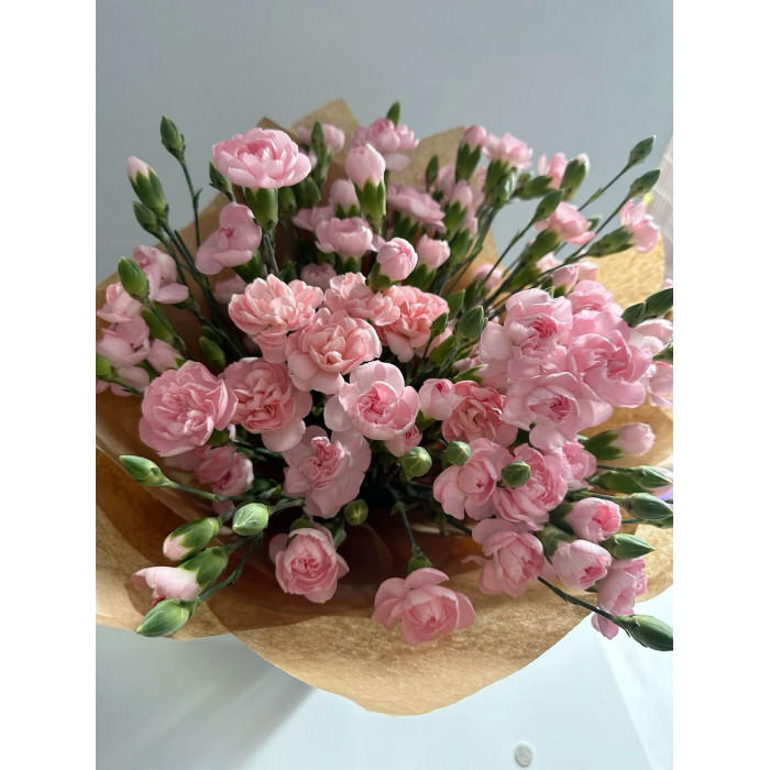 Кустовые гвоздики в Кентау