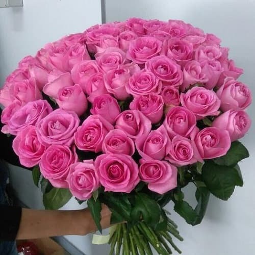 Купить на заказ Букет из 75 розовых роз с доставкой в Кентау
