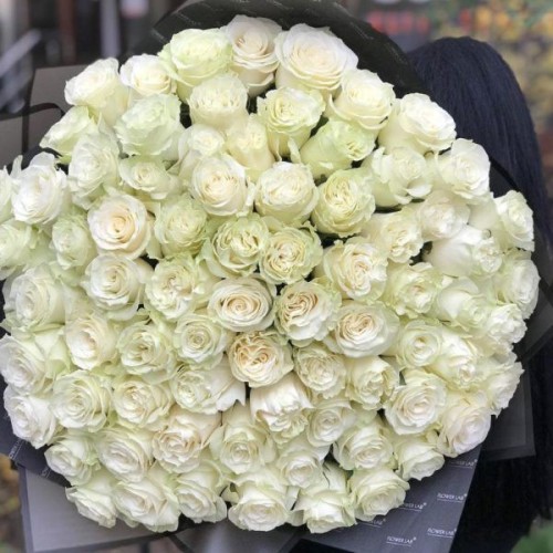 Купить на заказ Букет из 75 белых роз с доставкой в Кентау