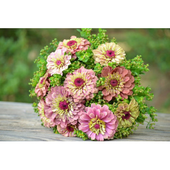 Букет из цинии №11 Букет из цинии №11